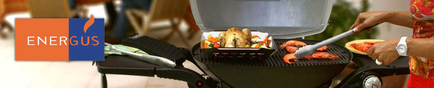 energus.jpg